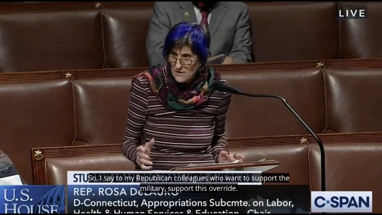 Congresswoman DeLauro Floor Remarks on Borrower Deffense