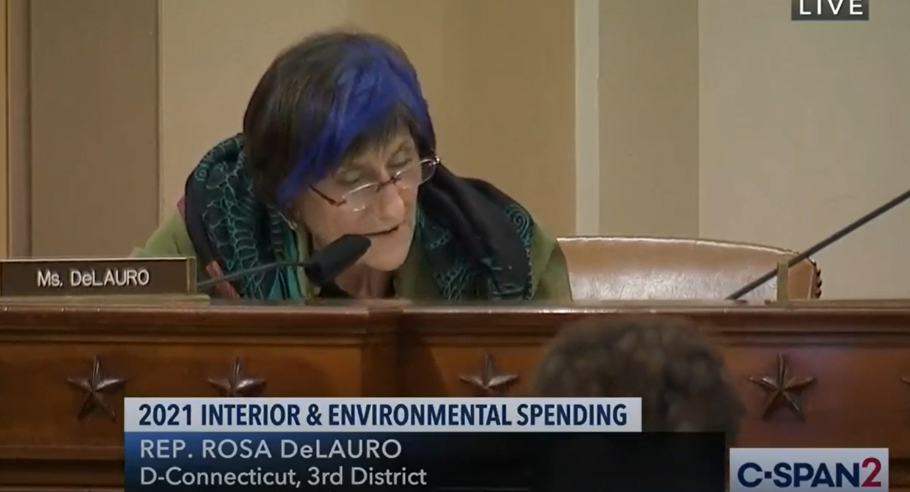 DeLauro Interior Markup 07.10.20