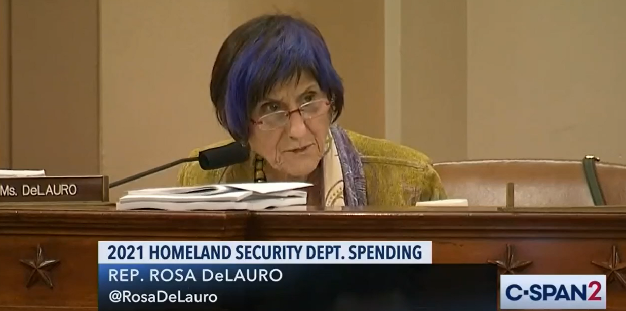 DeLauro Homeland Security Remarks FY21