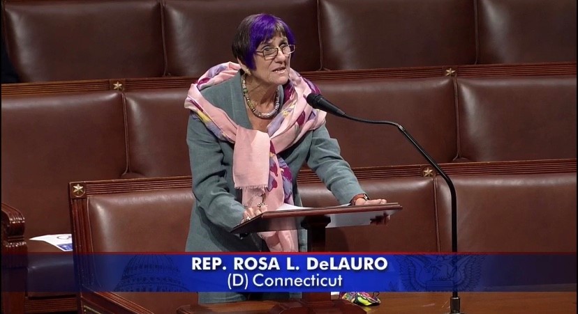 DeLauro Pregnant Workers Fairness Act